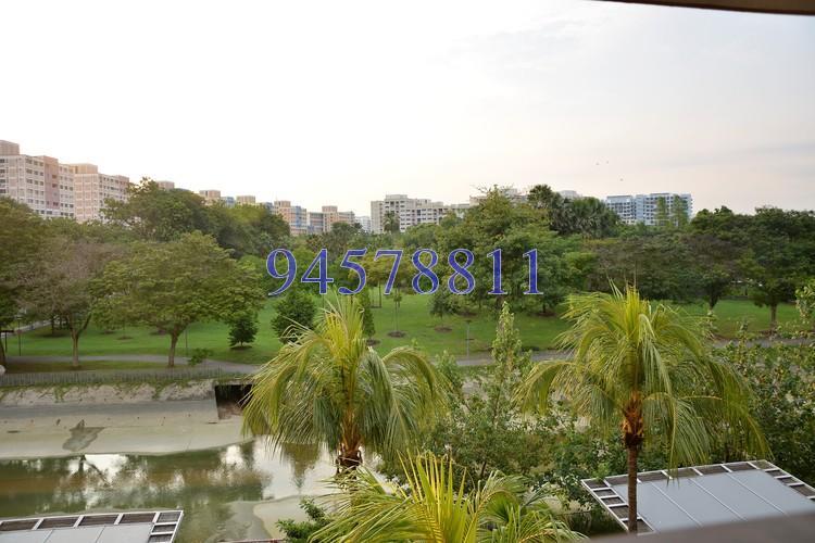 Blk 424 Pasir Ris Drive 6 (Pasir Ris), HDB Executive #158818412